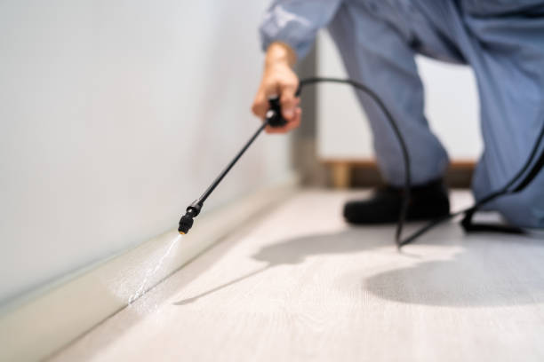Licensed Pest Control service in San Saba, TX - Show Me Pest Control