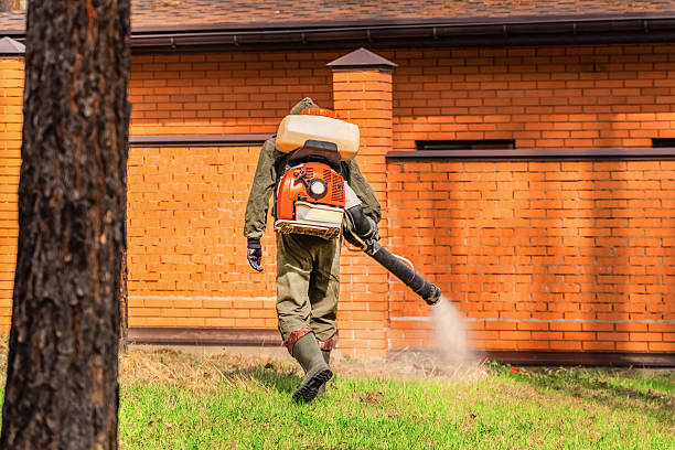 Bed Bug Clearance Verification and Documentation in San Saba